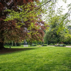 Bonn Park am alten Zoll