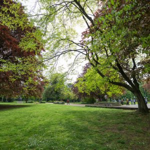Bonn Park am alten Zoll