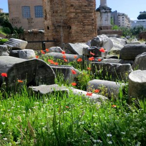 Forum Romanum