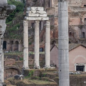 Blick aufs Forum Romanum