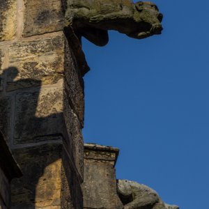 Hildesheim Dom Wasserspeier