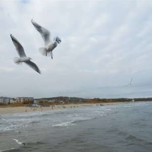 Am Strand