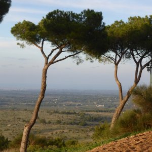 Castel del Monte