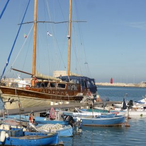 Trani