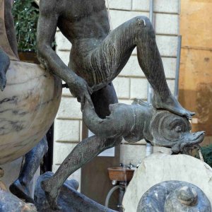 Schildkr_tenbrunnen_Bein_mit_Fisch