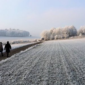 Neujahrsspaziergang 2017