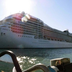 MSC Poesia