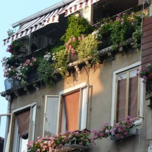 Fensterschmuck