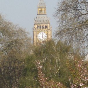 St James Park