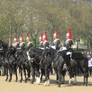 Horse Guards