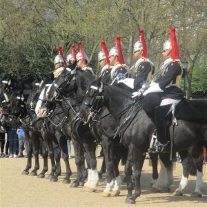 Horse Guards