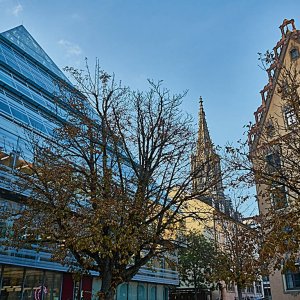 Ulm Stadtbummel Stadtbibliothek und Rathaus