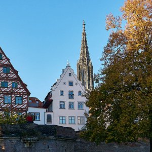 Ulm