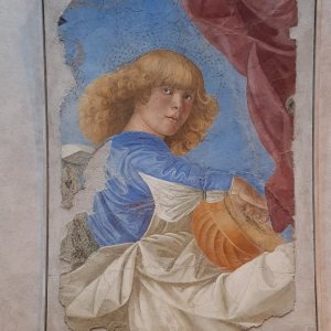 Melozzo da Forli: Musizierender Engel