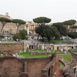 Forum Romanum