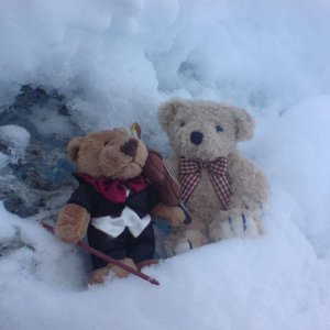 Bren im Engadin - Frdric und Leopold