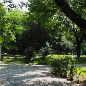 Parcul Nicolae Iorga