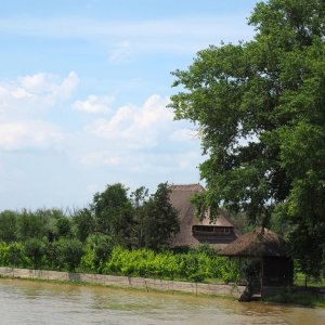 Hochwasser am Donauufer bei Maliuc