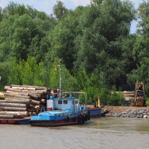 Holztransport mit Lastprahm