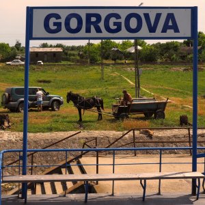 Das Taxi von Gorgova