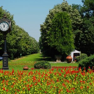 Cișmigiu-Park