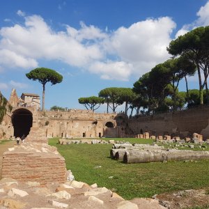 Palatin - Stadion des Domitian