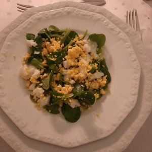 Mimosa Salat
