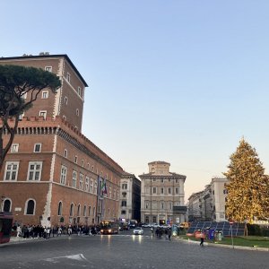 Piazza Venezia Albero.jpeg
