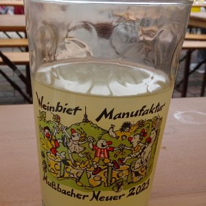 Mußbacher Neuer Wein