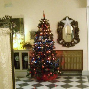 Weihnachtsbaum in der Residenza in Farnese