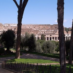 Colosseum vom Palatin aus