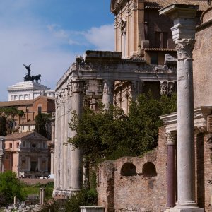 Sulen des Tempels des Antonius Pius und der Faustina