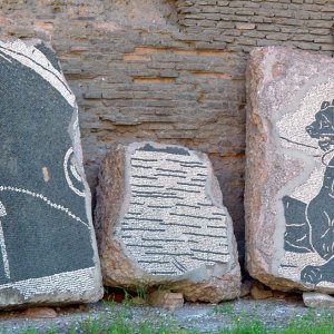 Caracalla-Thermen Mosaiken