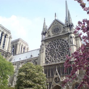 Paris - Notre Dame