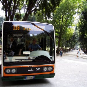 Linie 116, Villa Borghese