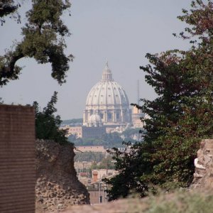 Petersdom vom Palatin