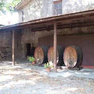 Weingut Pallavicini - Castelli Romani