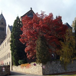Eibingen, November 2009