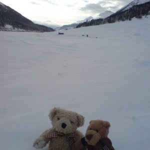 Schneeberge im Engadin