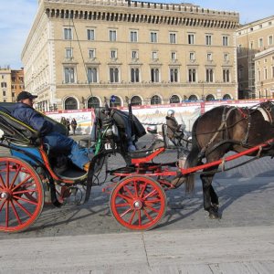 Im Schatten des Petersdoms