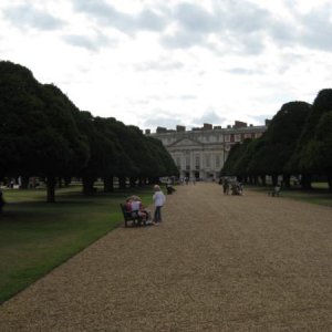 Eibenalle Hampton Court Gardens