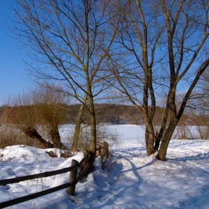 Am Stlpchensee