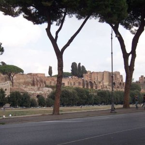 Blick auf Circus Maximus und Palatin