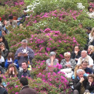 Spanische Treppe mit Blumen