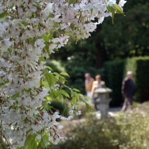 Japanischer Garten