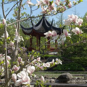 Chinesischer Pavillion