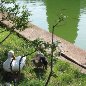 Villa Adriana