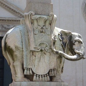 Elefant von Bernini