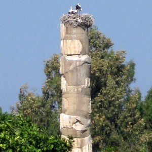Ephesus und umzu - Artemision