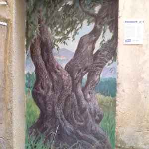 Valloria - Dorf der bemalten Türen